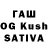 Каннабис White Widow yo frenzy