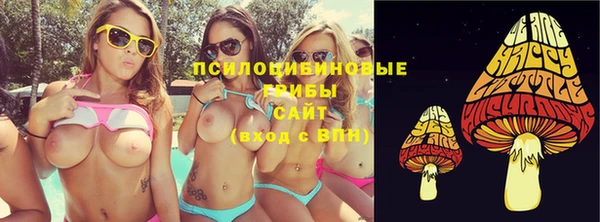 apvp Аркадак
