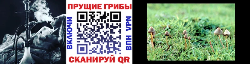 МЕГА рабочий сайт  продажа наркотиков  Белозерск  Галлюциногенные грибы ЛСД 